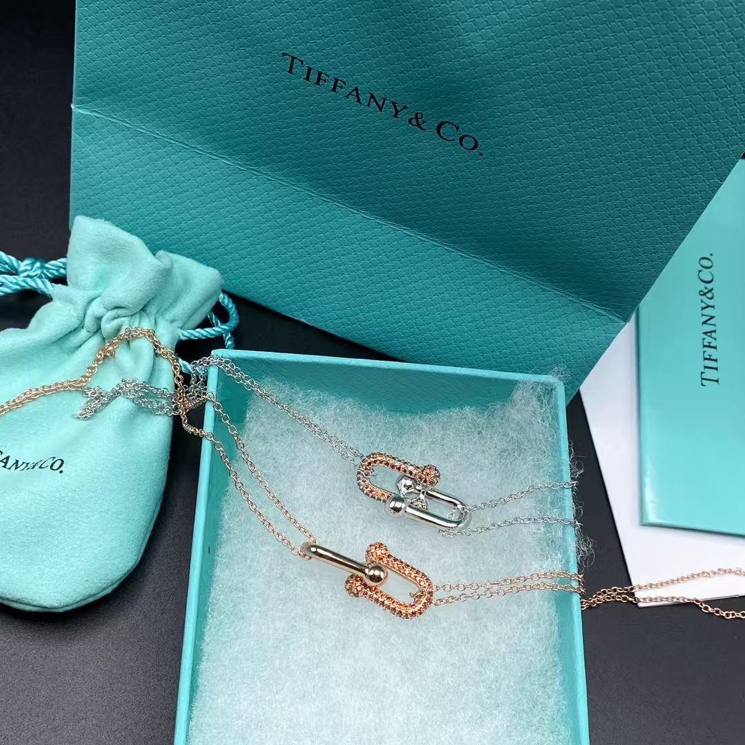 Tiffany Large Double Link Pendant Necklace - Image 8