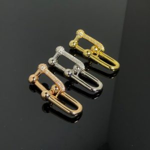 Tiffany HardWear Large Link Earrings