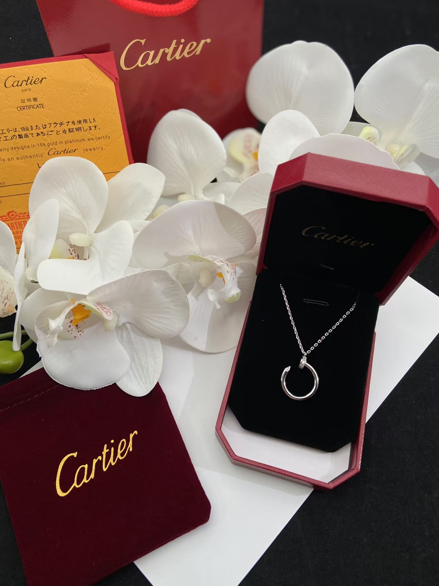 Cartier Juste un Clou Necklace - Image 9