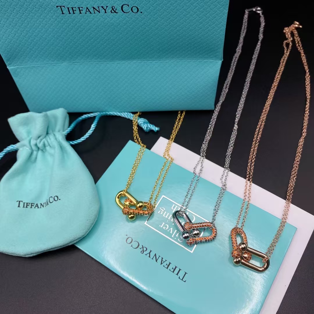 Tiffany Large Double Link Pendant Necklace - Image 2