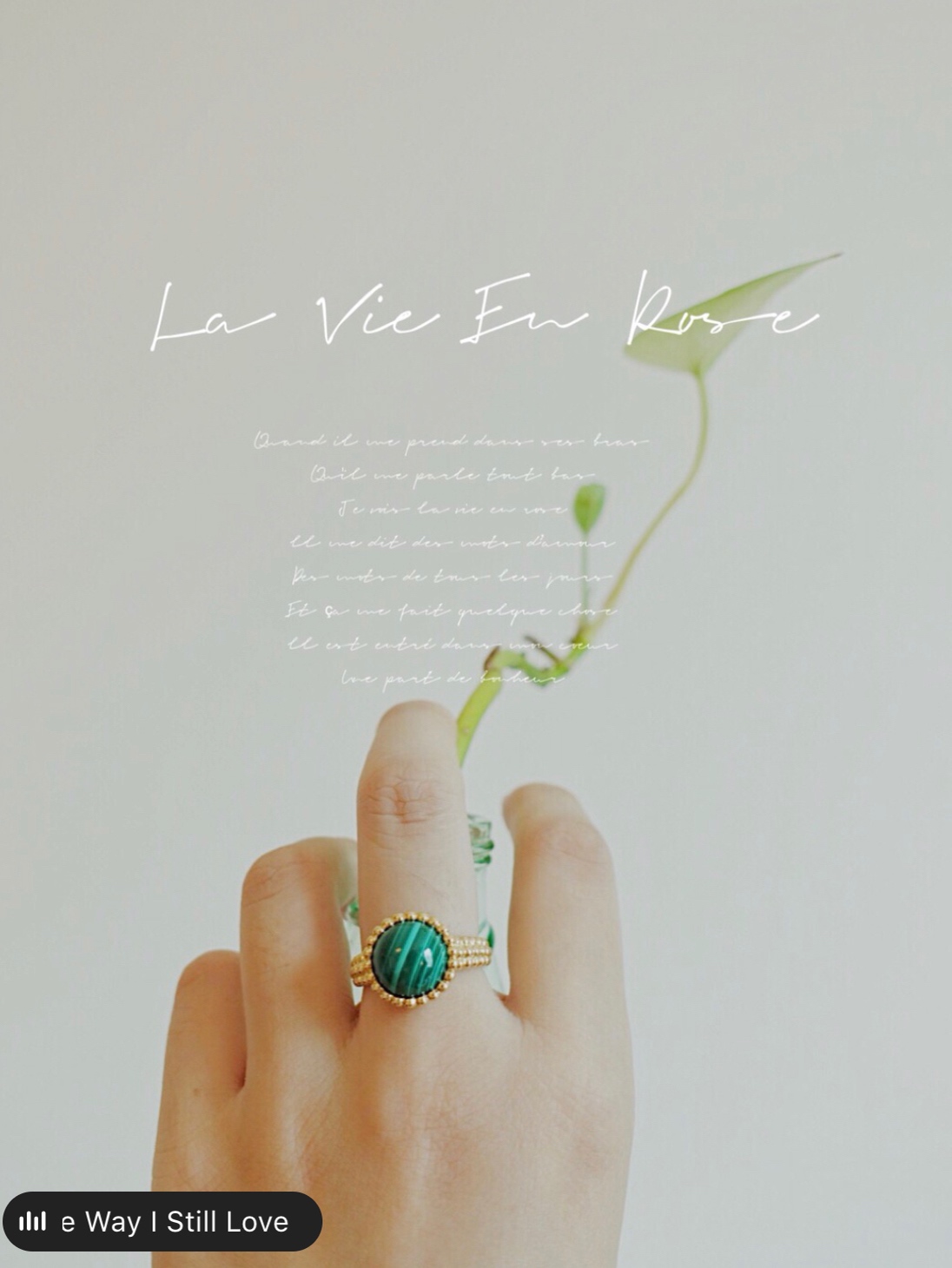 VCA Yellow Gold Malachite Perlee Couleurs Ring - Image 5