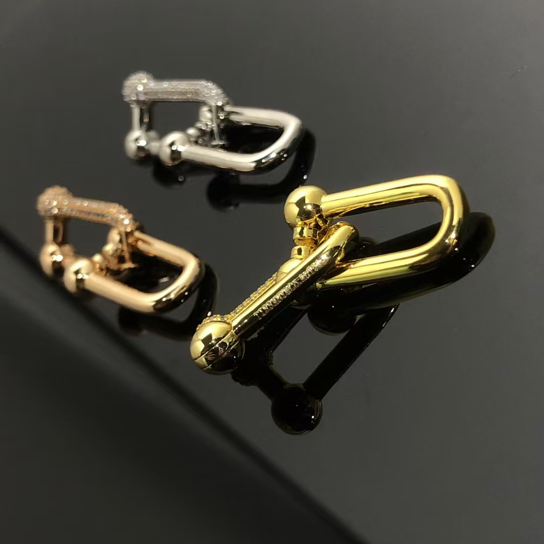 Tiffany HardWear Large Link Earrings - Image 3