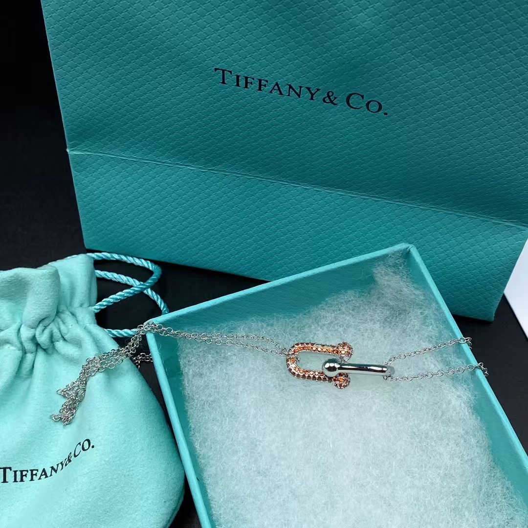 Tiffany Large Double Link Pendant Necklace - Image 9