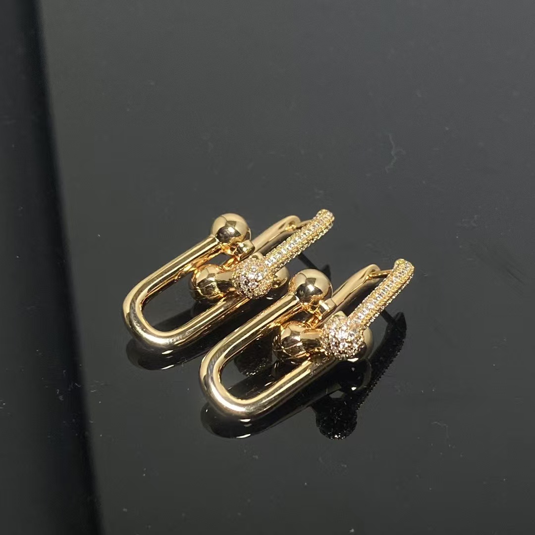 Tiffany HardWear Large Link Earrings - Image 9