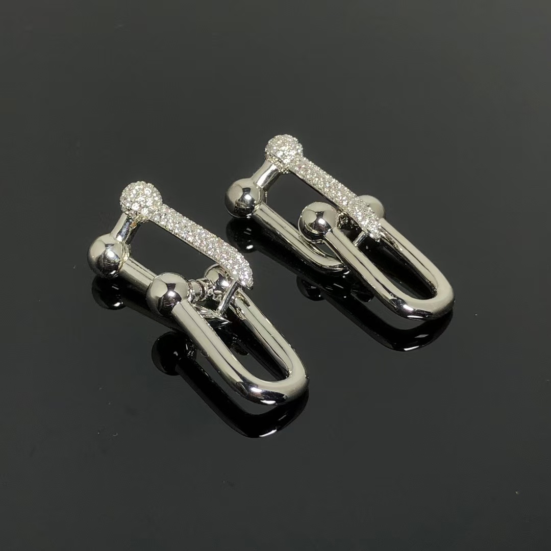 Tiffany HardWear Large Link Earrings - Image 4