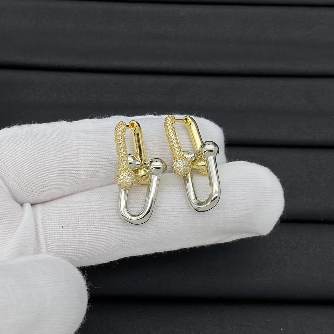 Tiffany HardWear Large Link Earrings